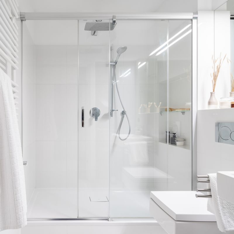 Elegant Shower Door